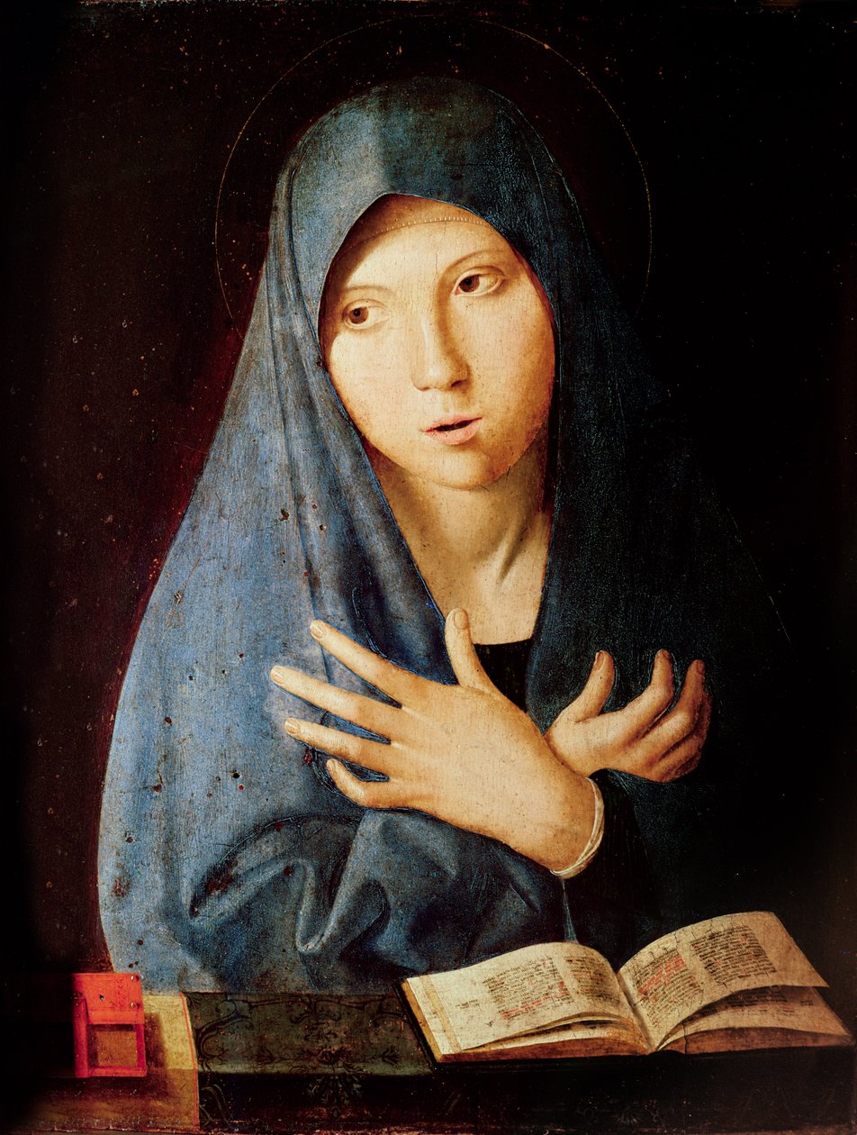 81Ens9rcriL._UF894,1000_QL80_.jpg